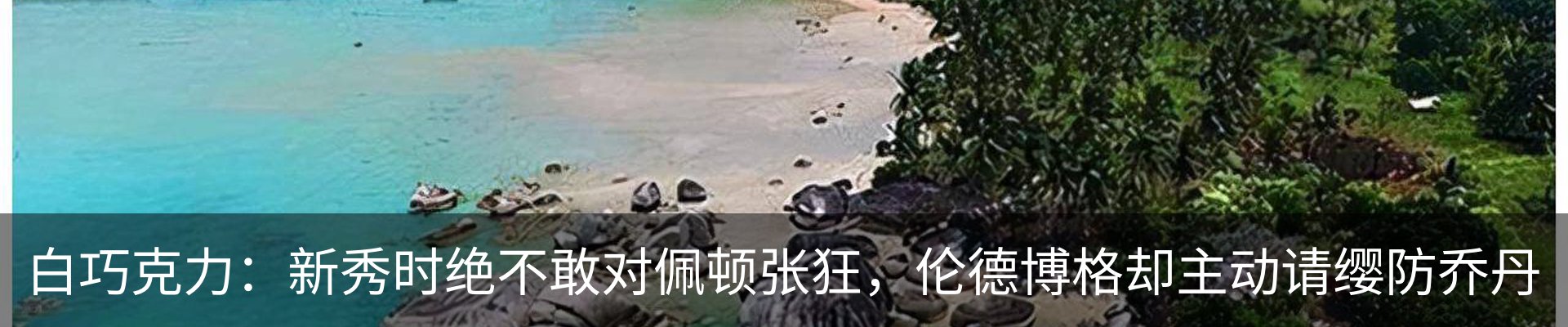 新闻动态